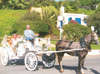 Grecian Sands Hotel 